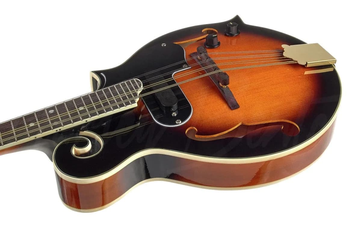 Harley Benton MA-100E VS — photo 6