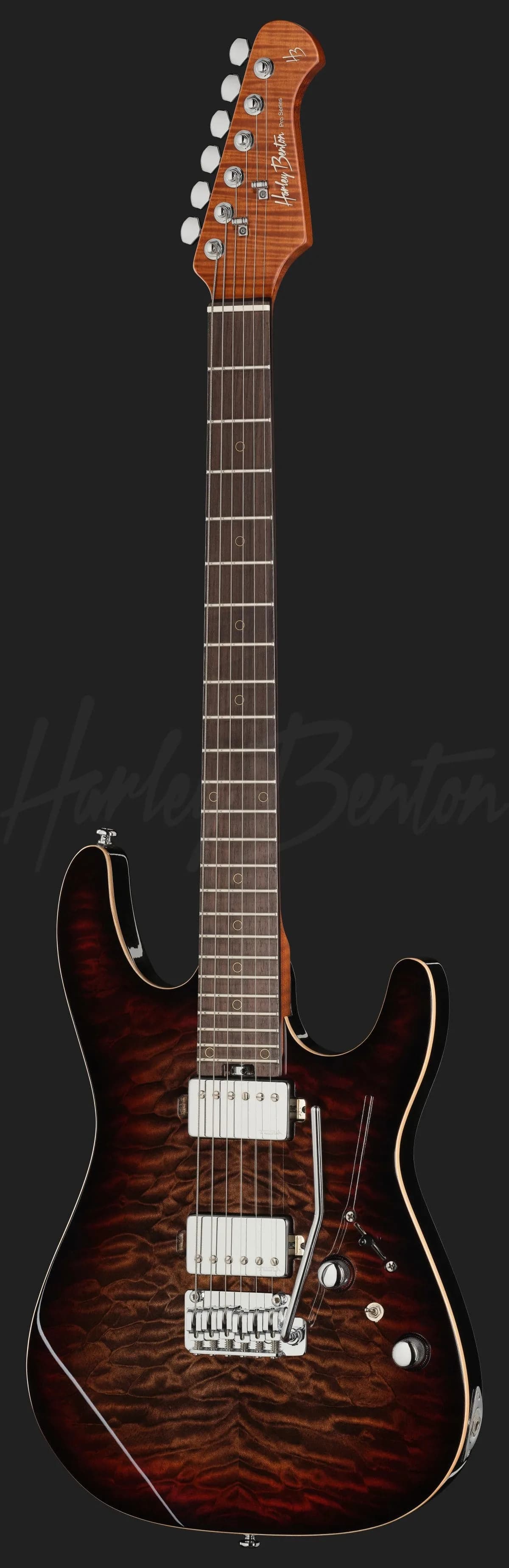 Harley Benton Fusion-IV HH RW QDG — photo 2