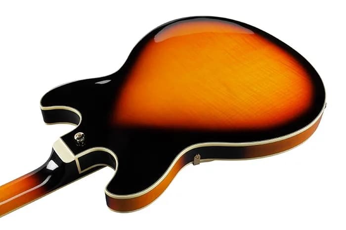 Ibanez AS113 — photo 3