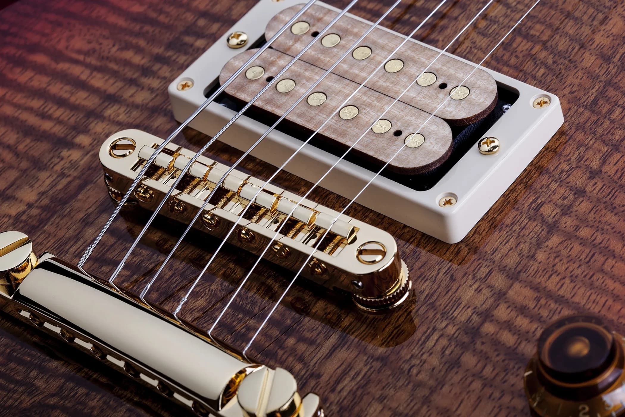 Schecter Solo Custom Exotic — photo 3