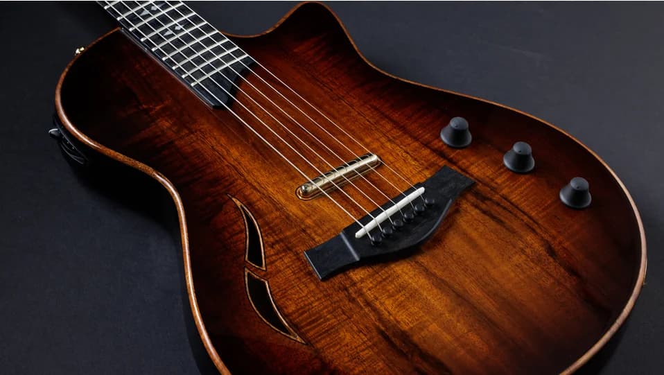 Taylor T5z Custom Koa — photo 6