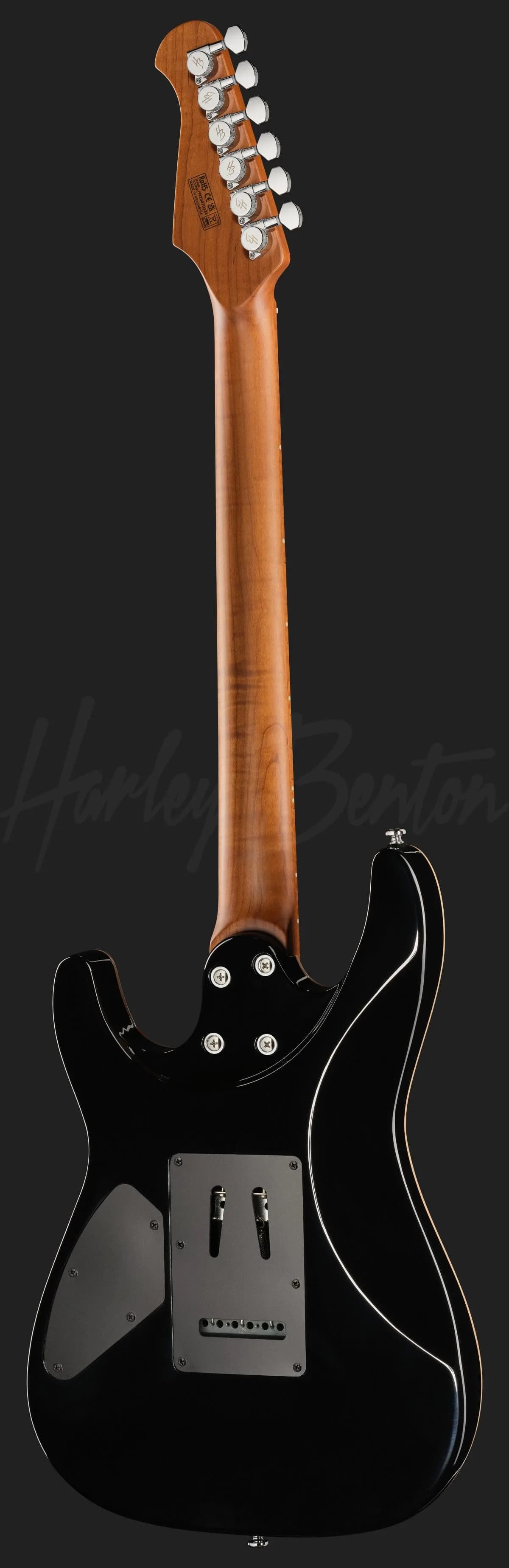 Harley Benton Fusion-IV HH MN QDG — photo 3