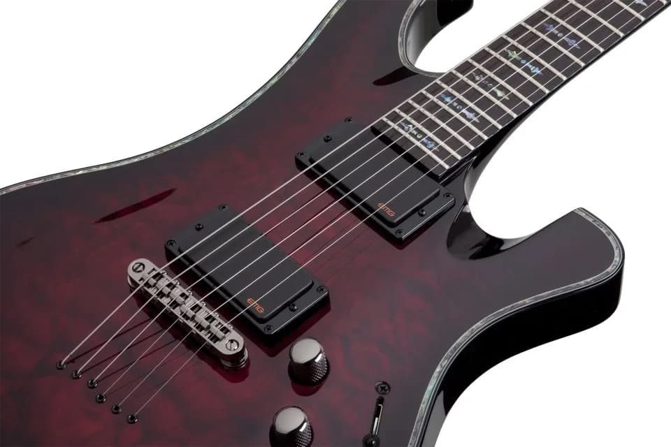 Schecter Hellraiser 006 — photo 8