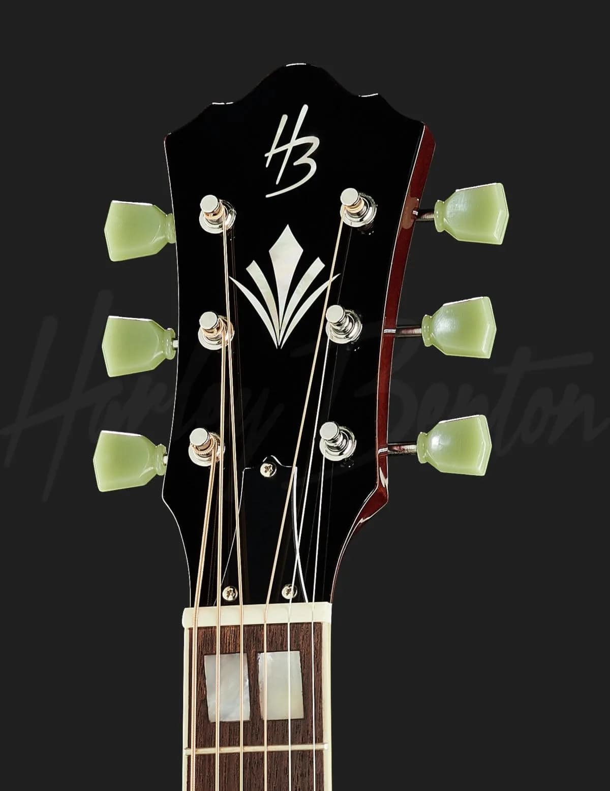 Harley Benton CL Superior-E Pro VS — photo 6