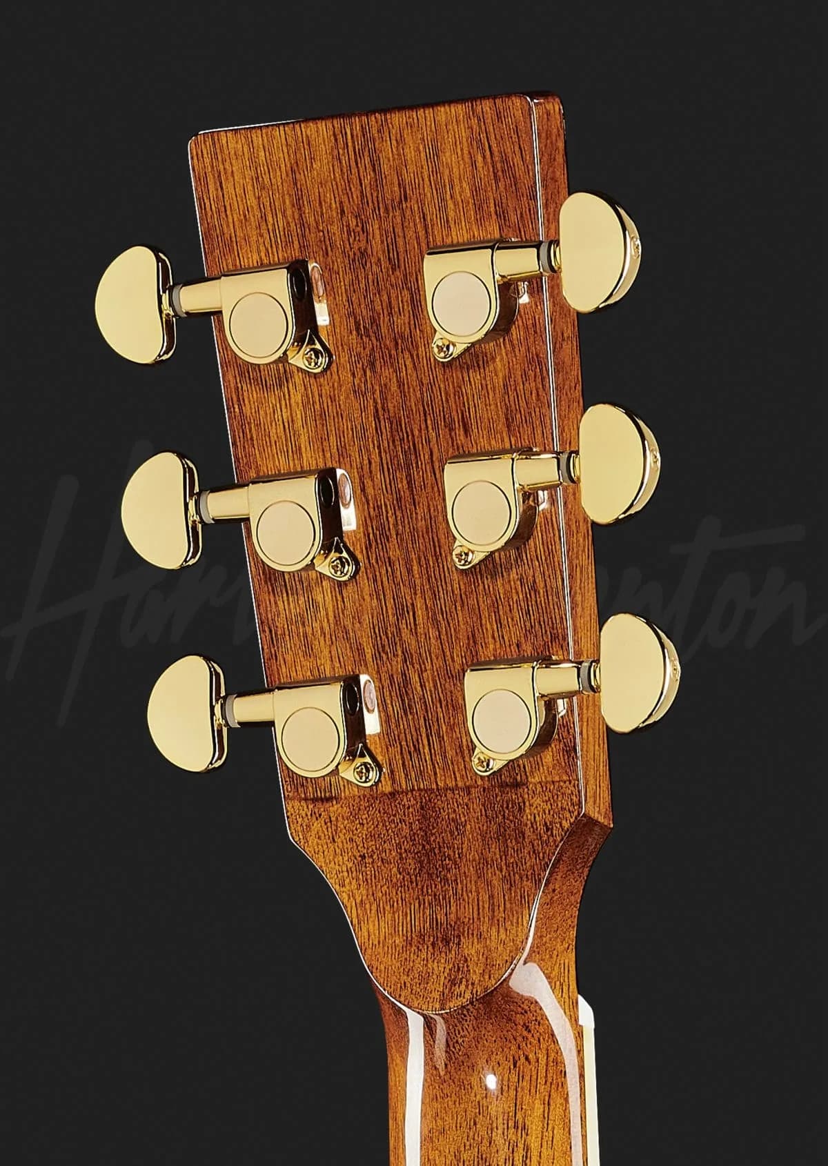 Harley Benton CLR-ResoElectric — photo 7