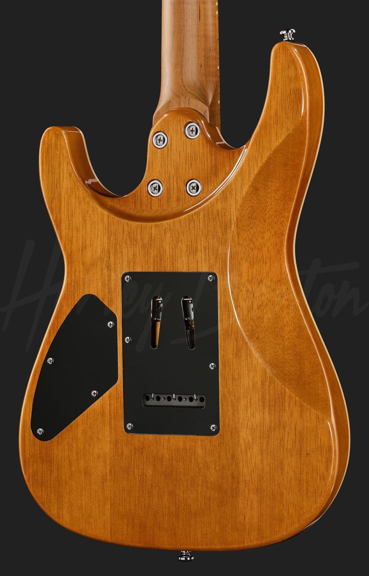 Harley Benton Fusion-IV HH MN RM — photo 5