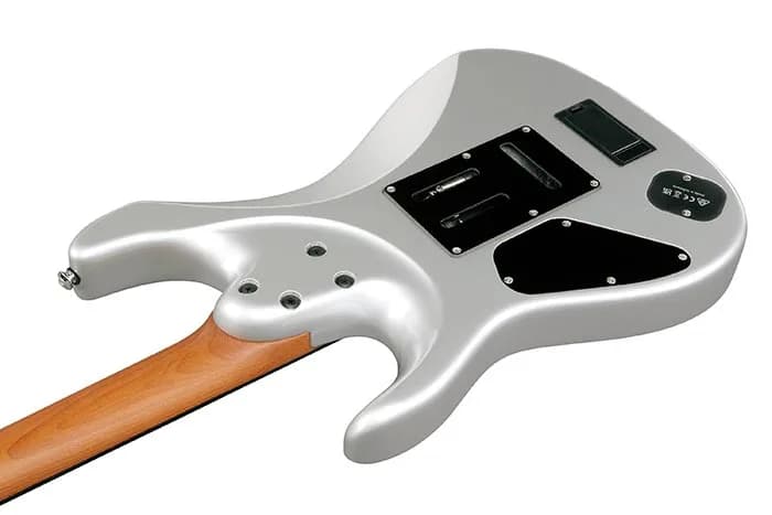 Ibanez TOD10 — photo 6