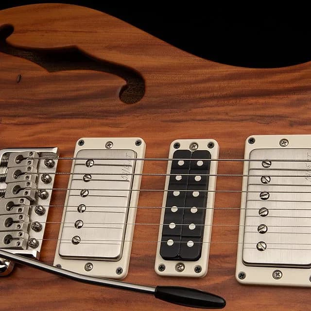 PRS S2 Special Semi-Hollow Reclaimed Limited Edition — photo 3