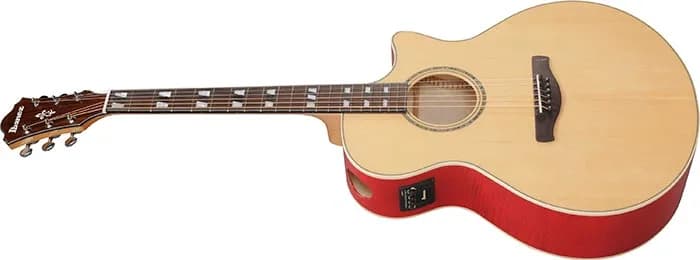 Ibanez AE170 — photo 8