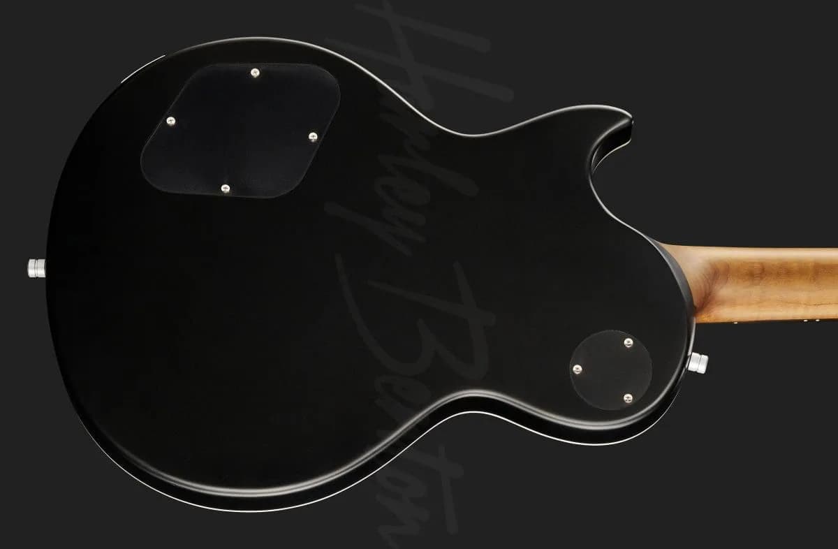 Harley Benton Agufish STD Signature BK — photo 5