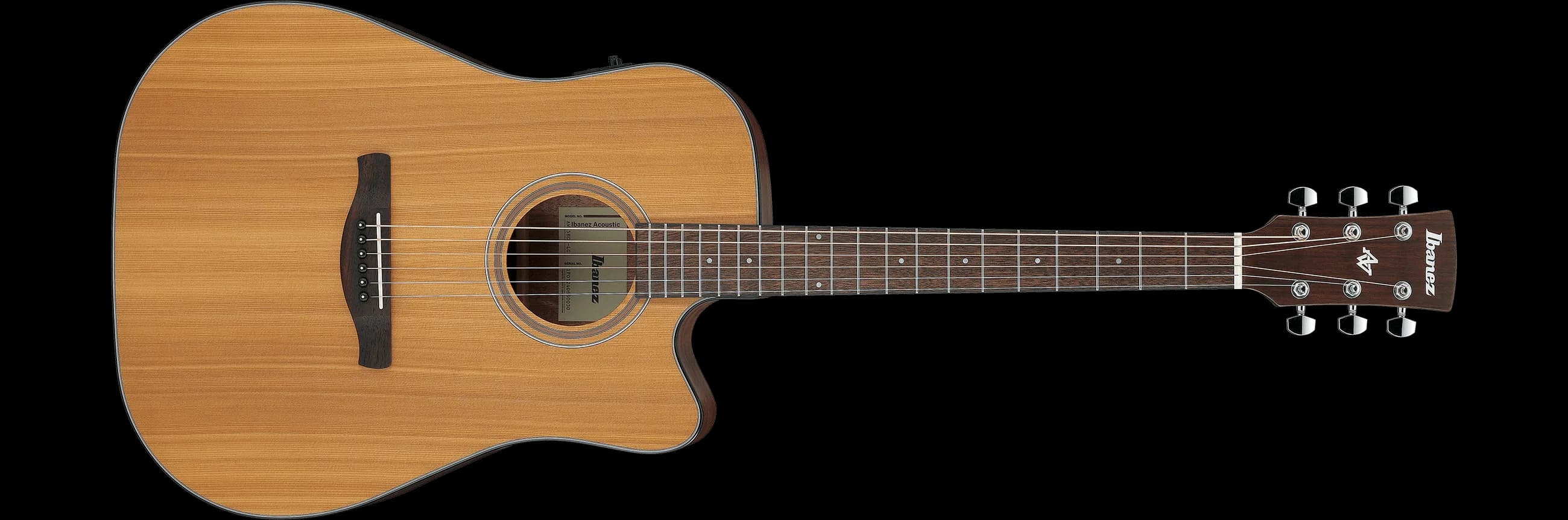 Ibanez AW65ECE