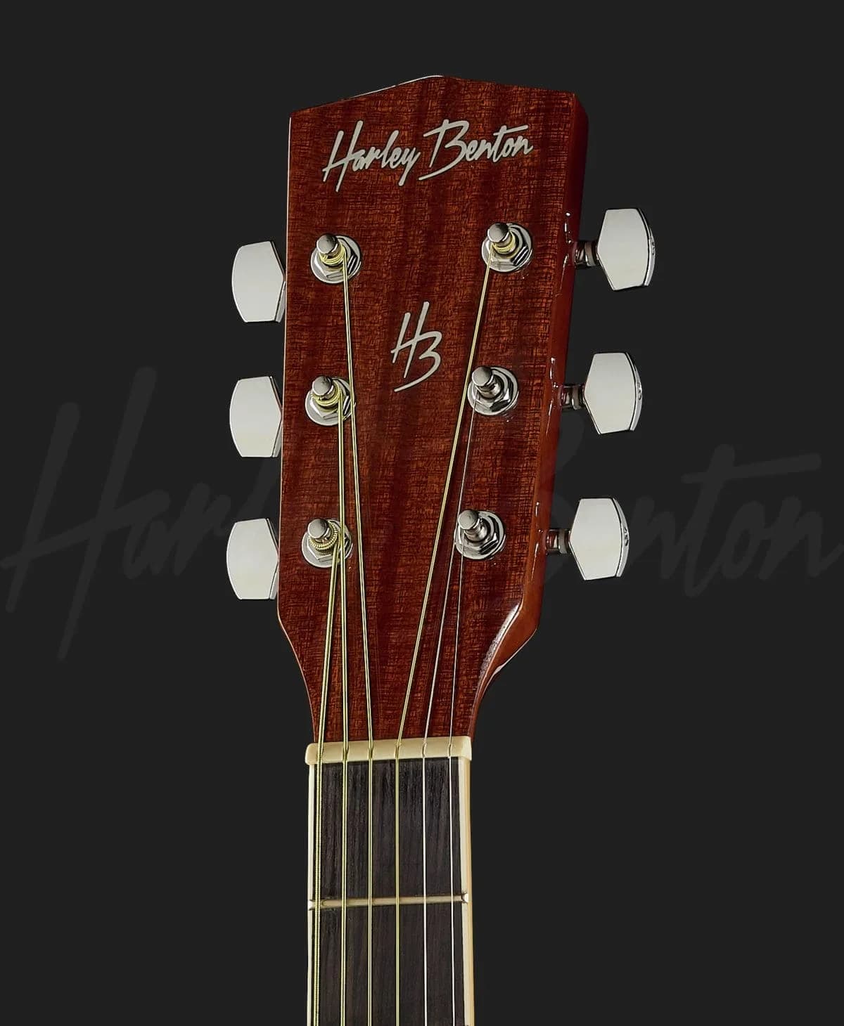 Harley Benton D-120CE NT — photo 6