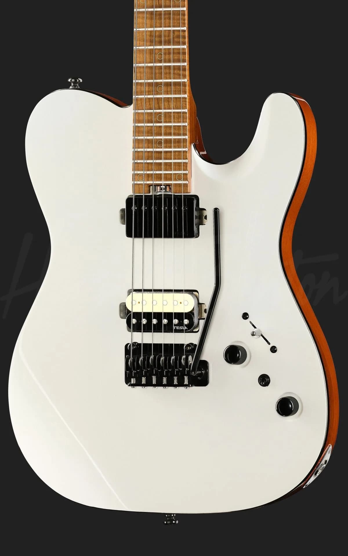 Harley Benton Fusion-T II HH MN WM — photo 4