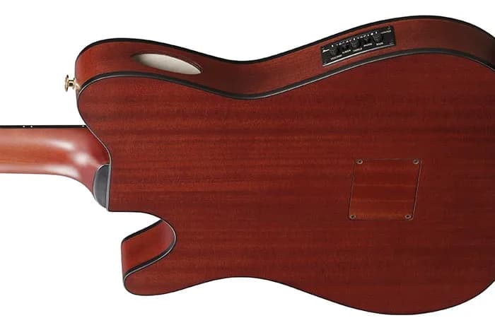 Ibanez FRH20SMN — photo 3