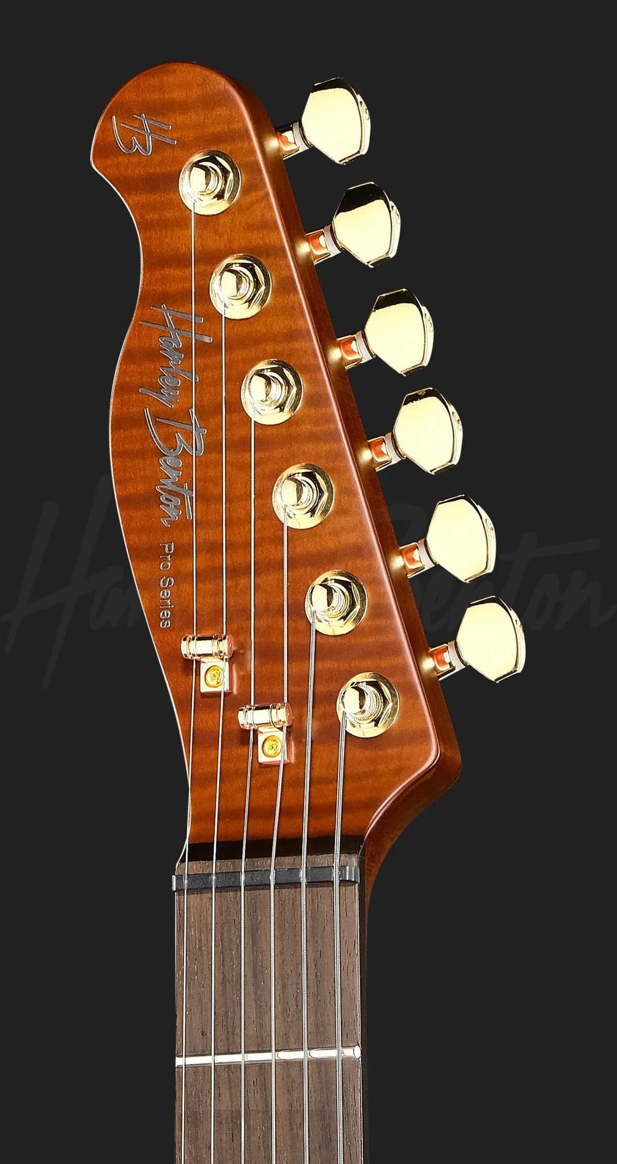 Harley Benton Fusion-T II HH LH RW HT FBB — photo 6