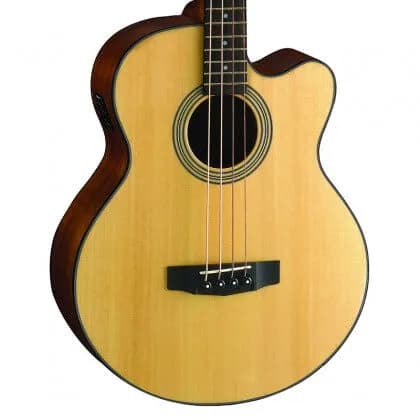 Cort Acoustic Bass SJB5F — photo 2