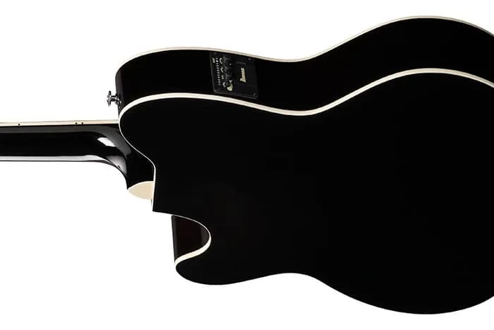 Ibanez TCY10PA — photo 6