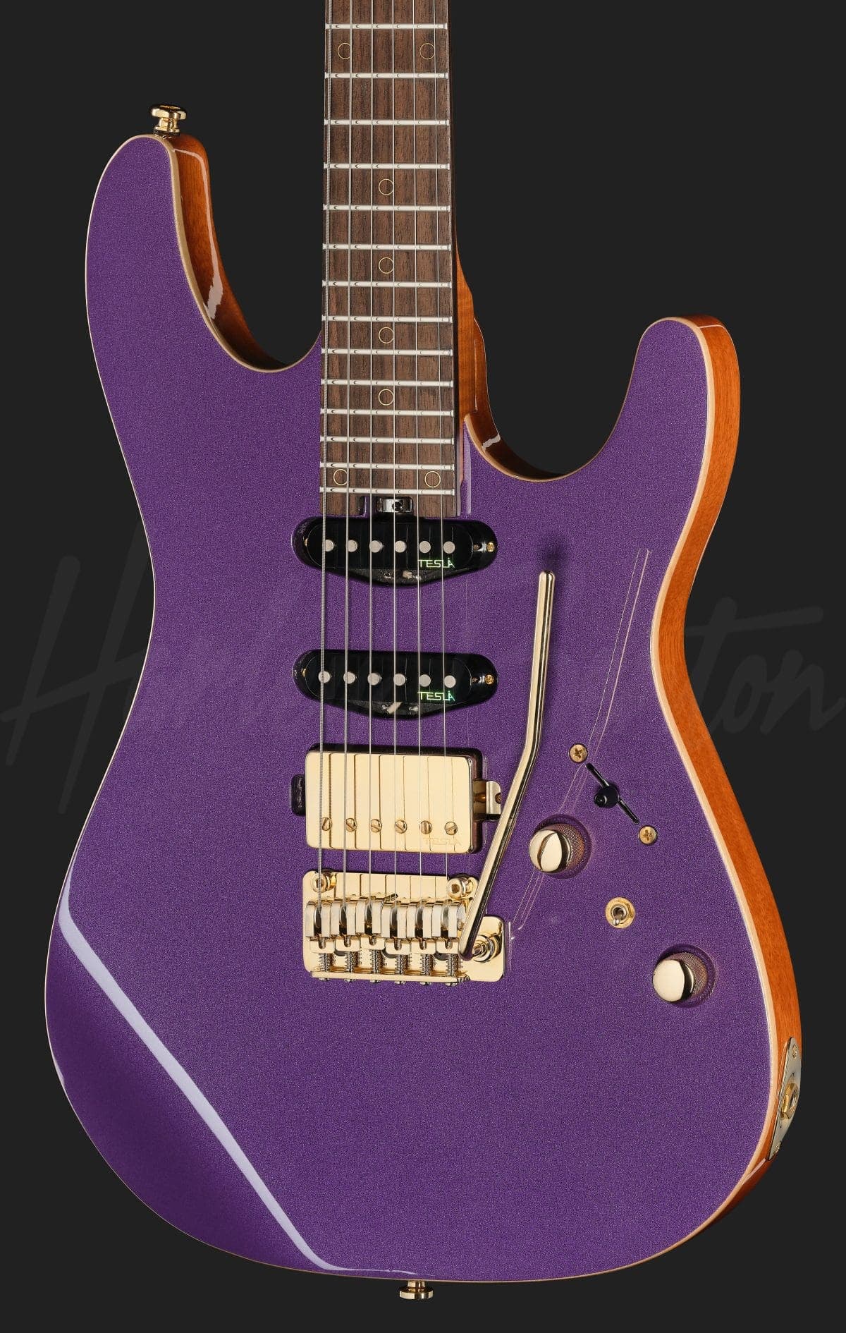 Harley Benton Fusion-IV HSS RW PM — photo 4