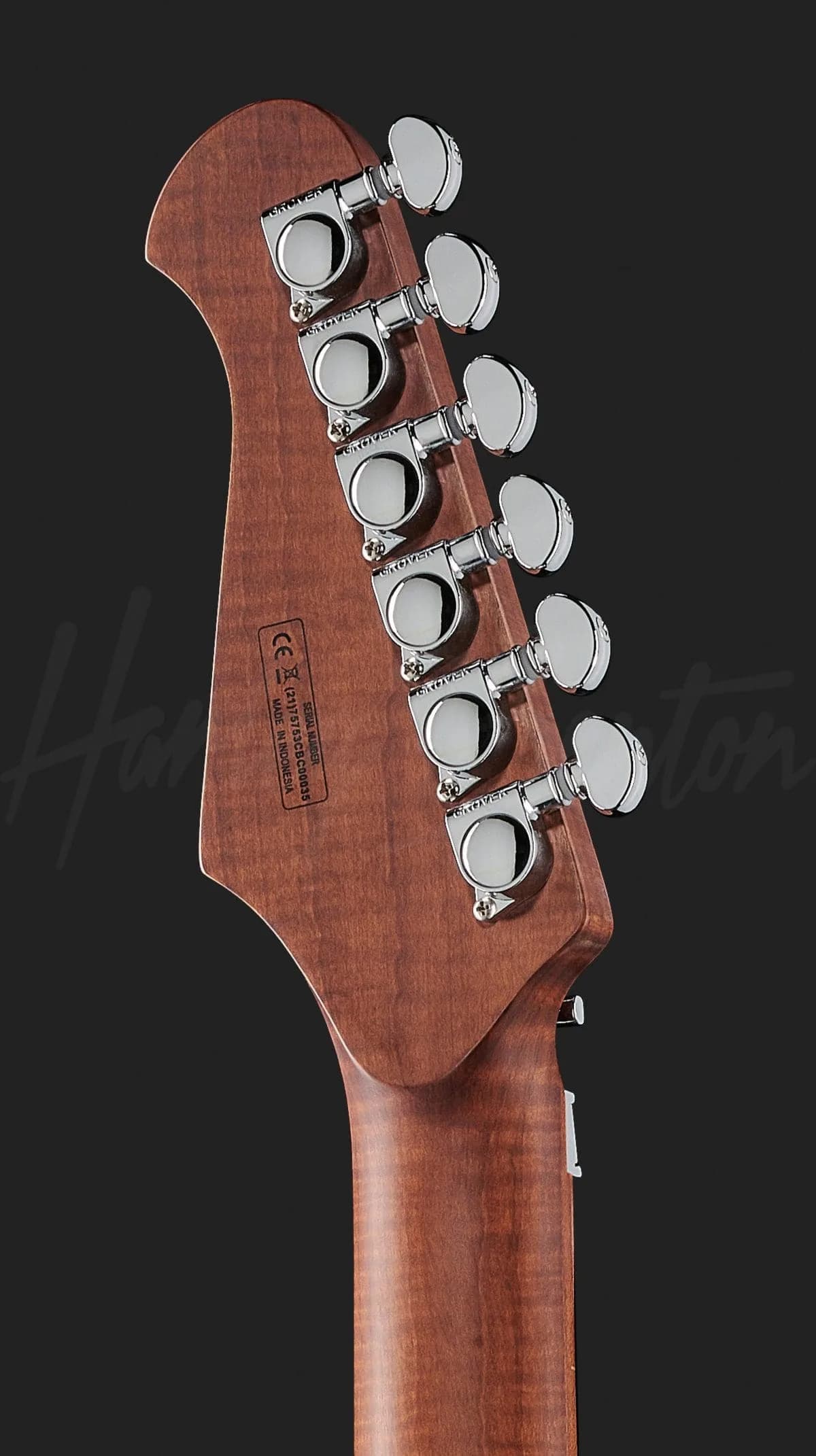 Harley Benton Fusion-III HH FR Roasted FCH — photo 7