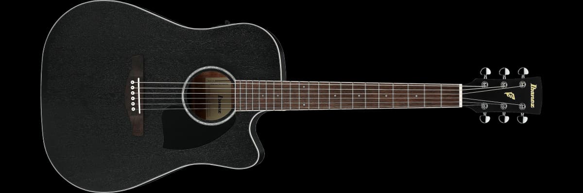 Ibanez PF16MWCE — photo 2