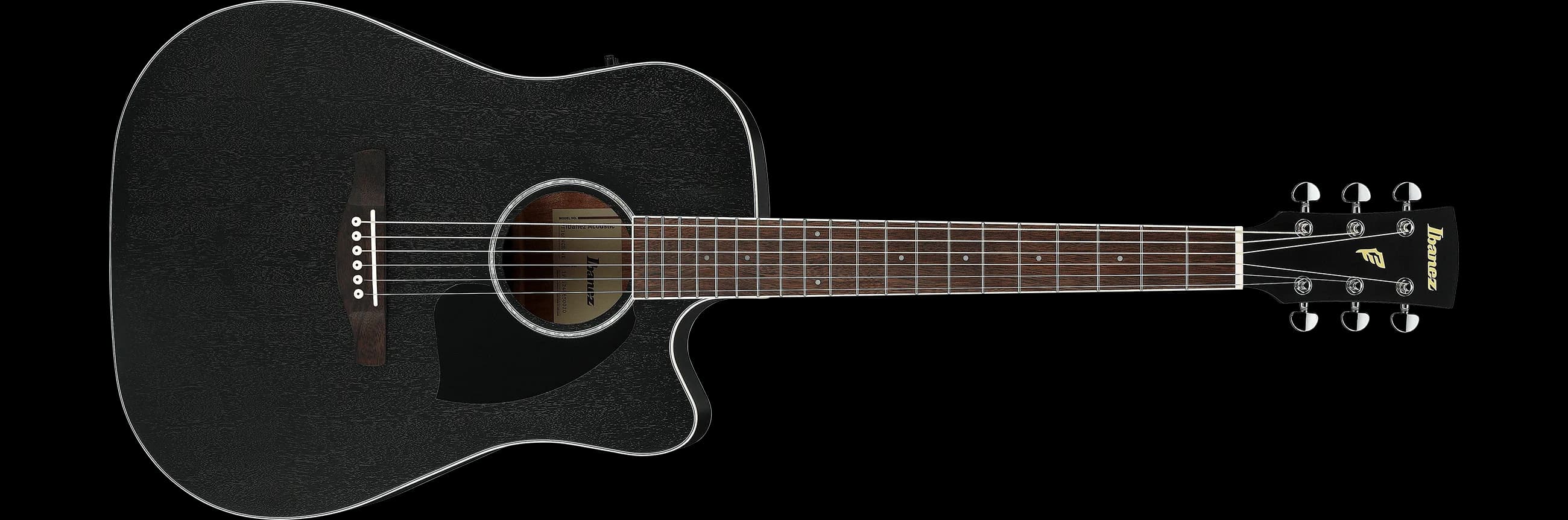 Ibanez PF16MWCE — photo 2