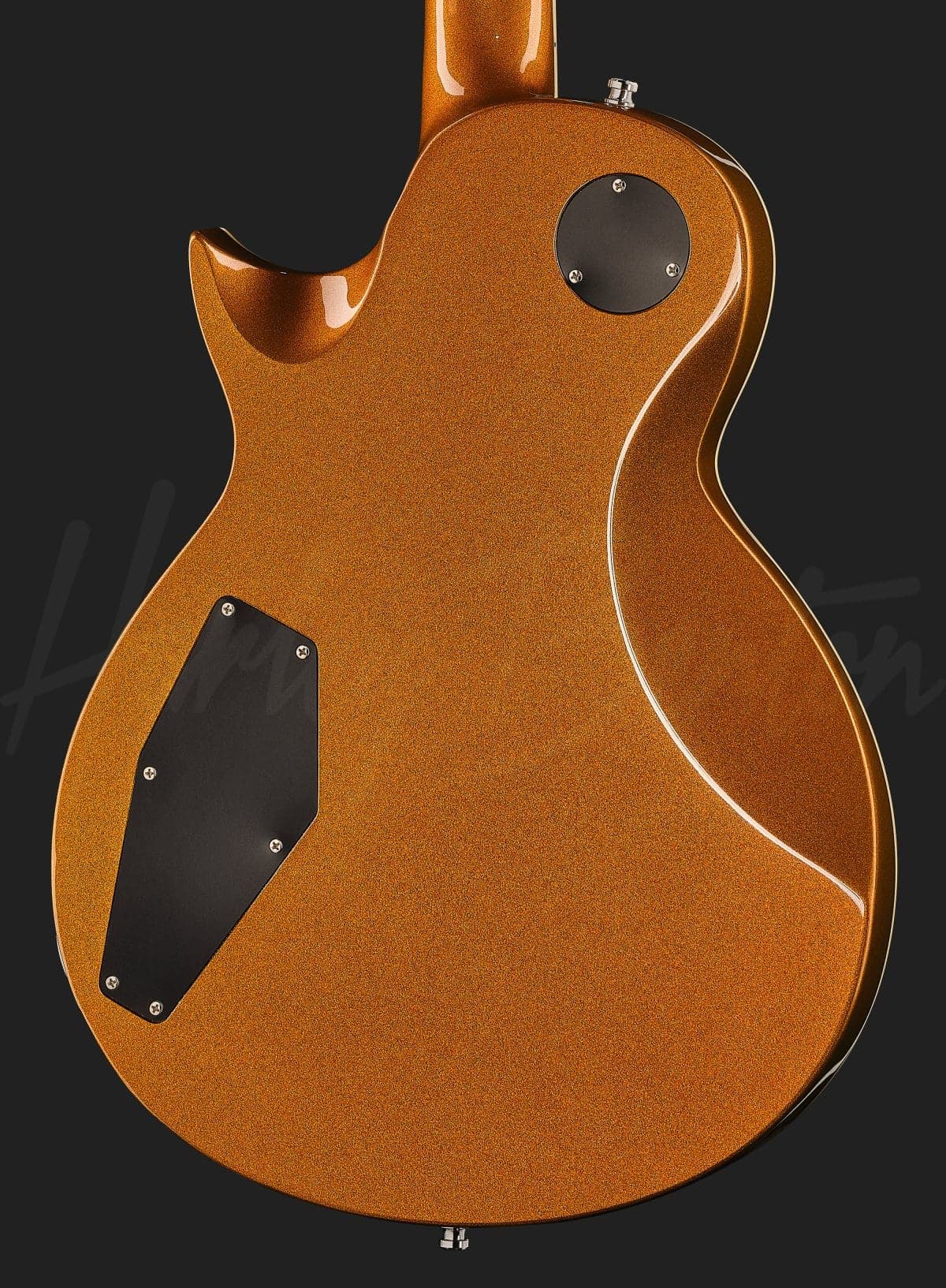 Harley Benton SC-Custom III Gold Top — photo 5