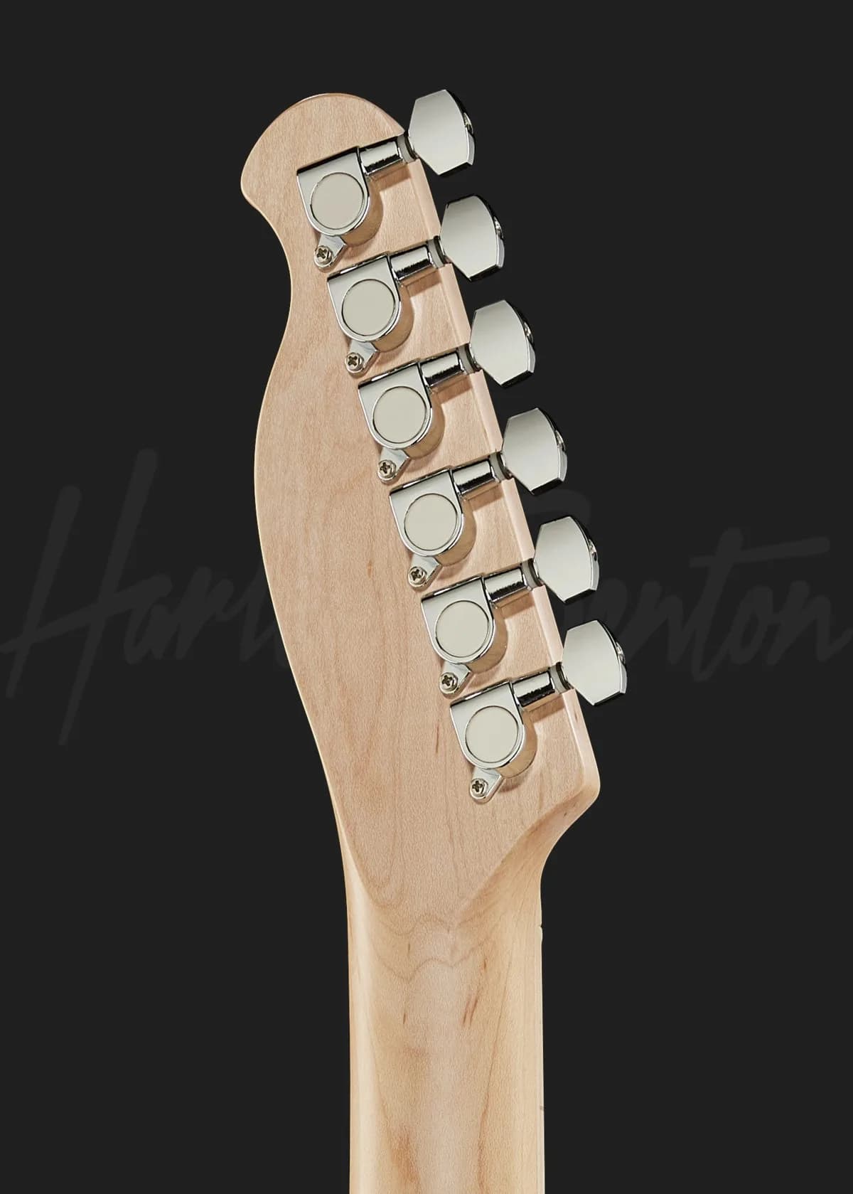 Harley Benton TE-30 BE — photo 7