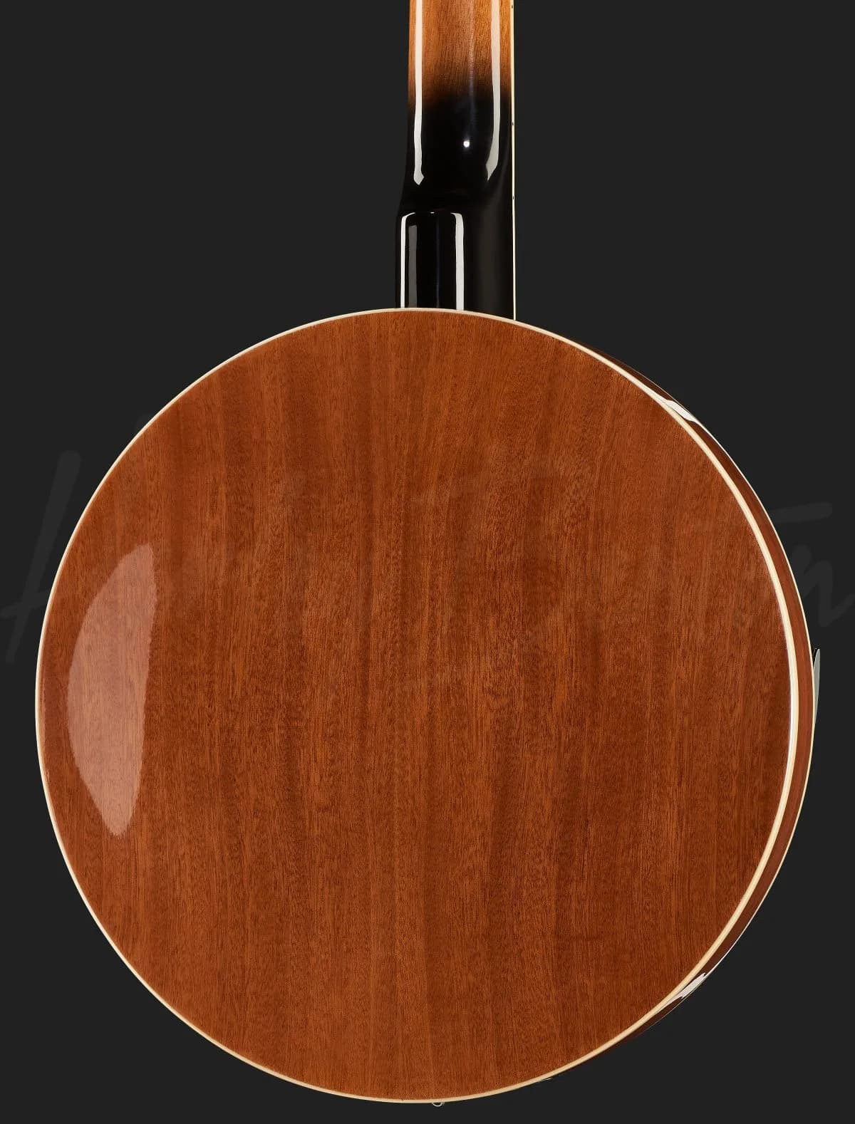 Harley Benton HBJ-25 — photo 5