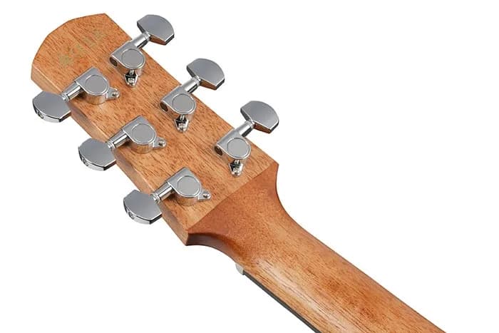 Ibanez AAM54CE — photo 2