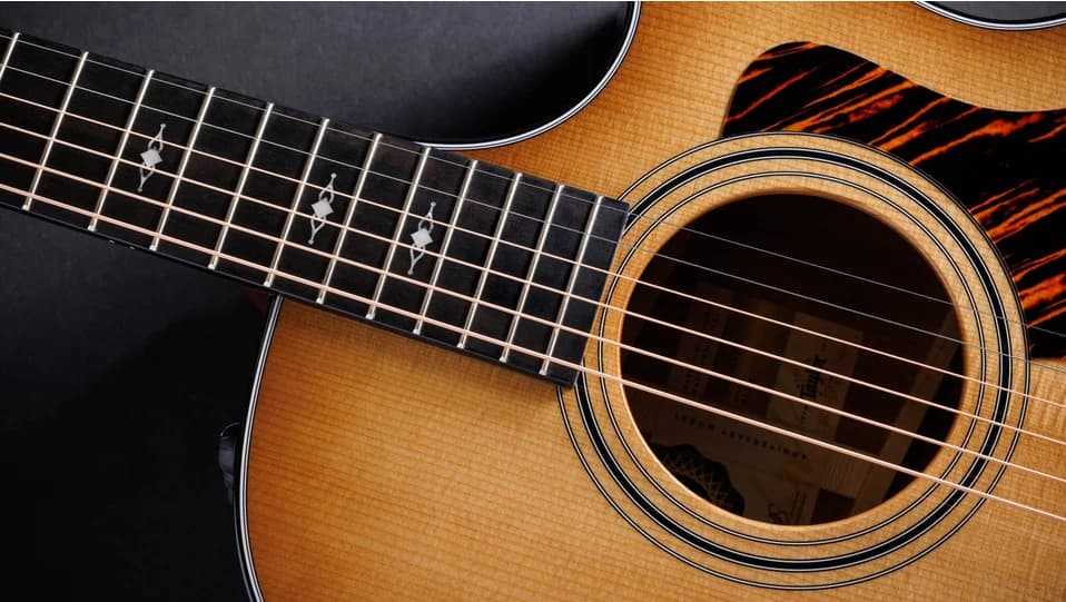 Taylor 50th Anniversary 314ce LTD — photo 7