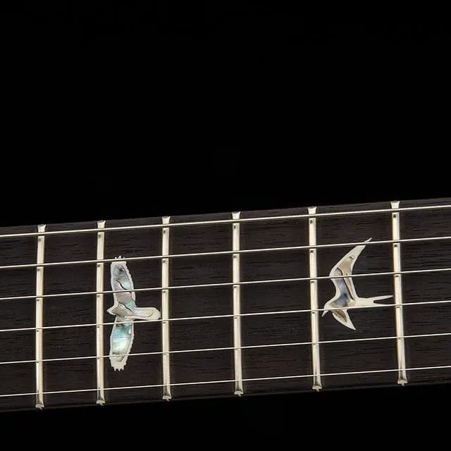PRS Standard 24 Satin — photo 6