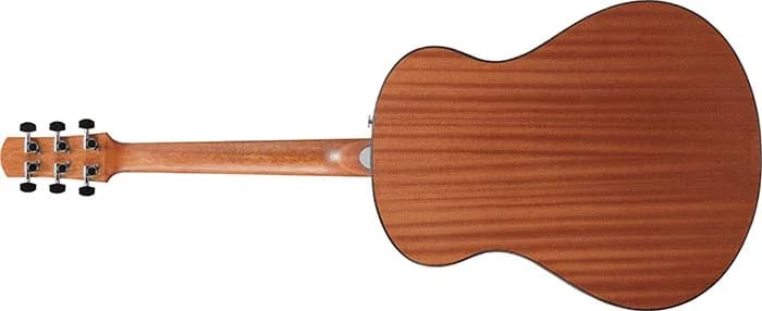 Ibanez AAM54 — photo 5