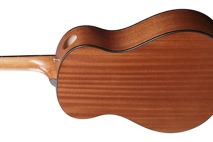 Ibanez AAM50 — photo 3