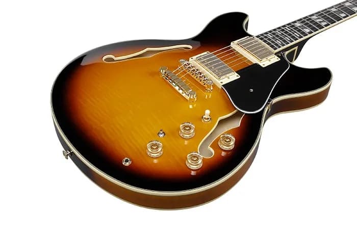 Ibanez JSM10 — photo 2