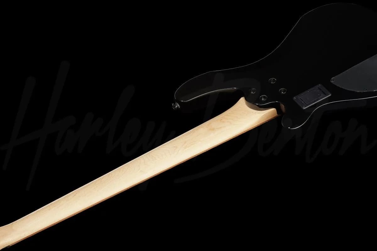 Harley Benton B-550 BK — photo 8