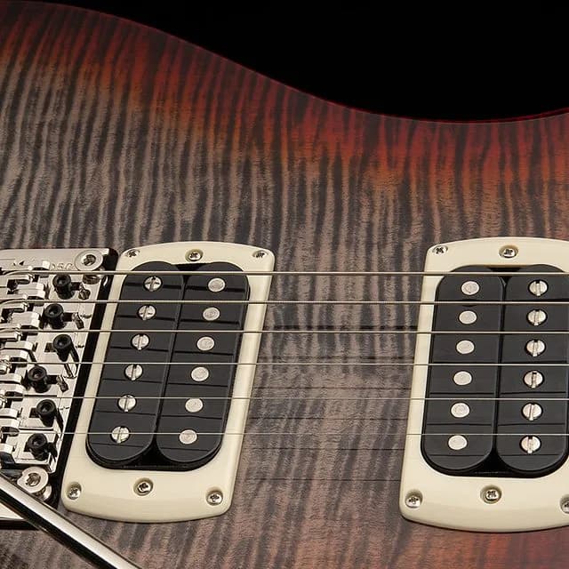 PRS SE Custom 24 "Floyd" — photo 4