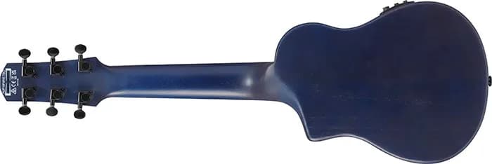 Ibanez AUP10FMNE — photo 5