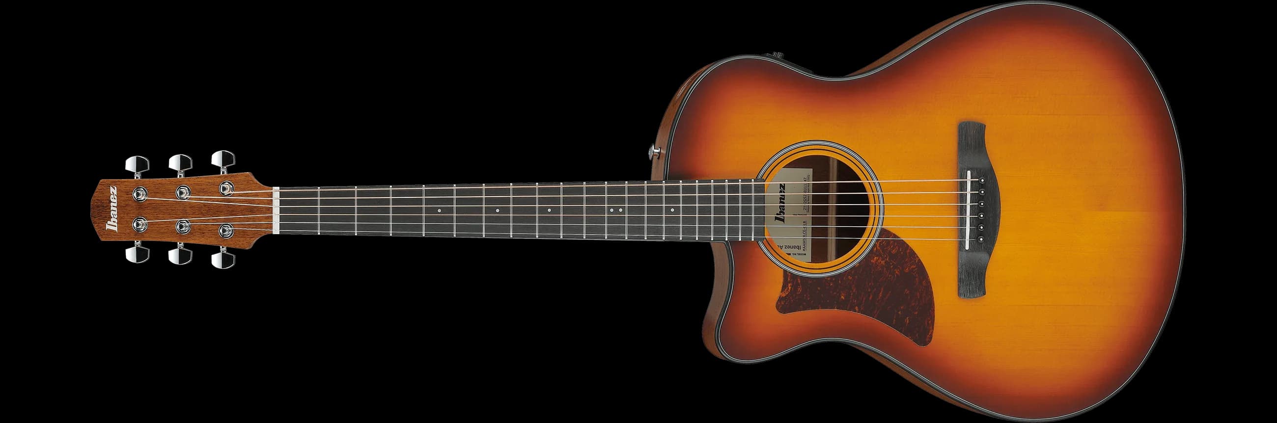 Ibanez AAM50LCE