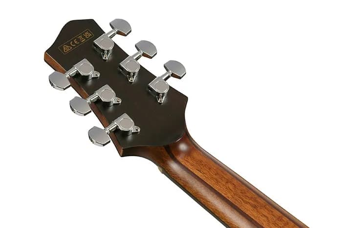 Ibanez PA300E — photo 2