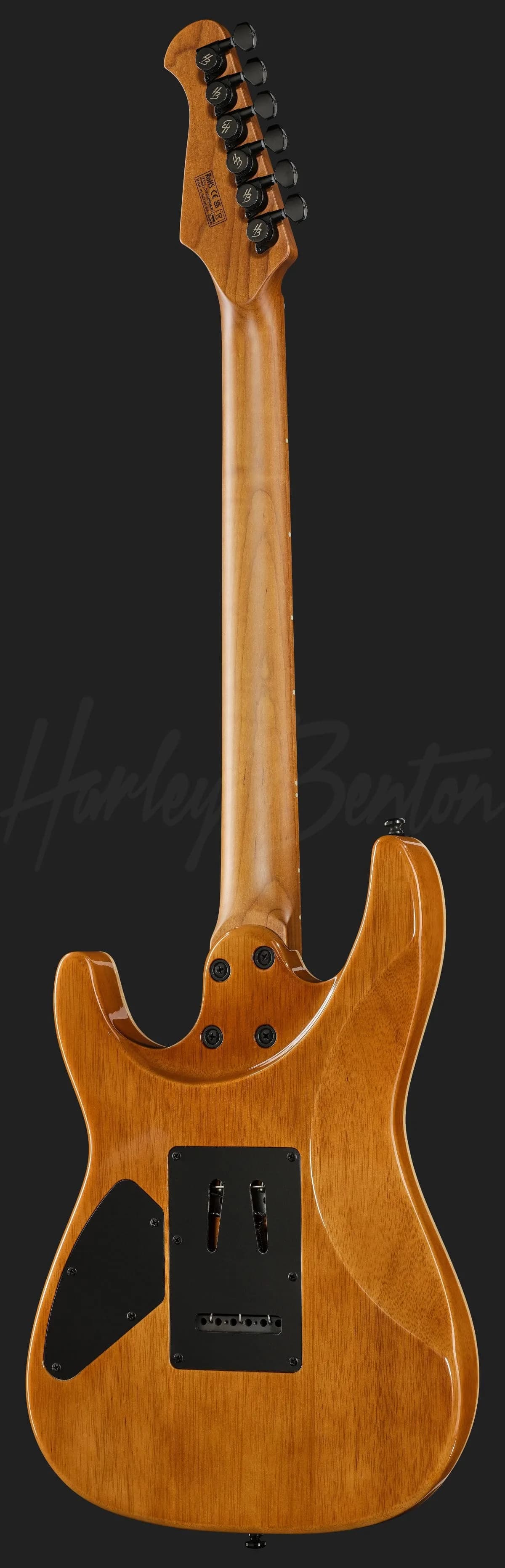 Harley Benton Fusion-IV HSS MN BM — photo 3