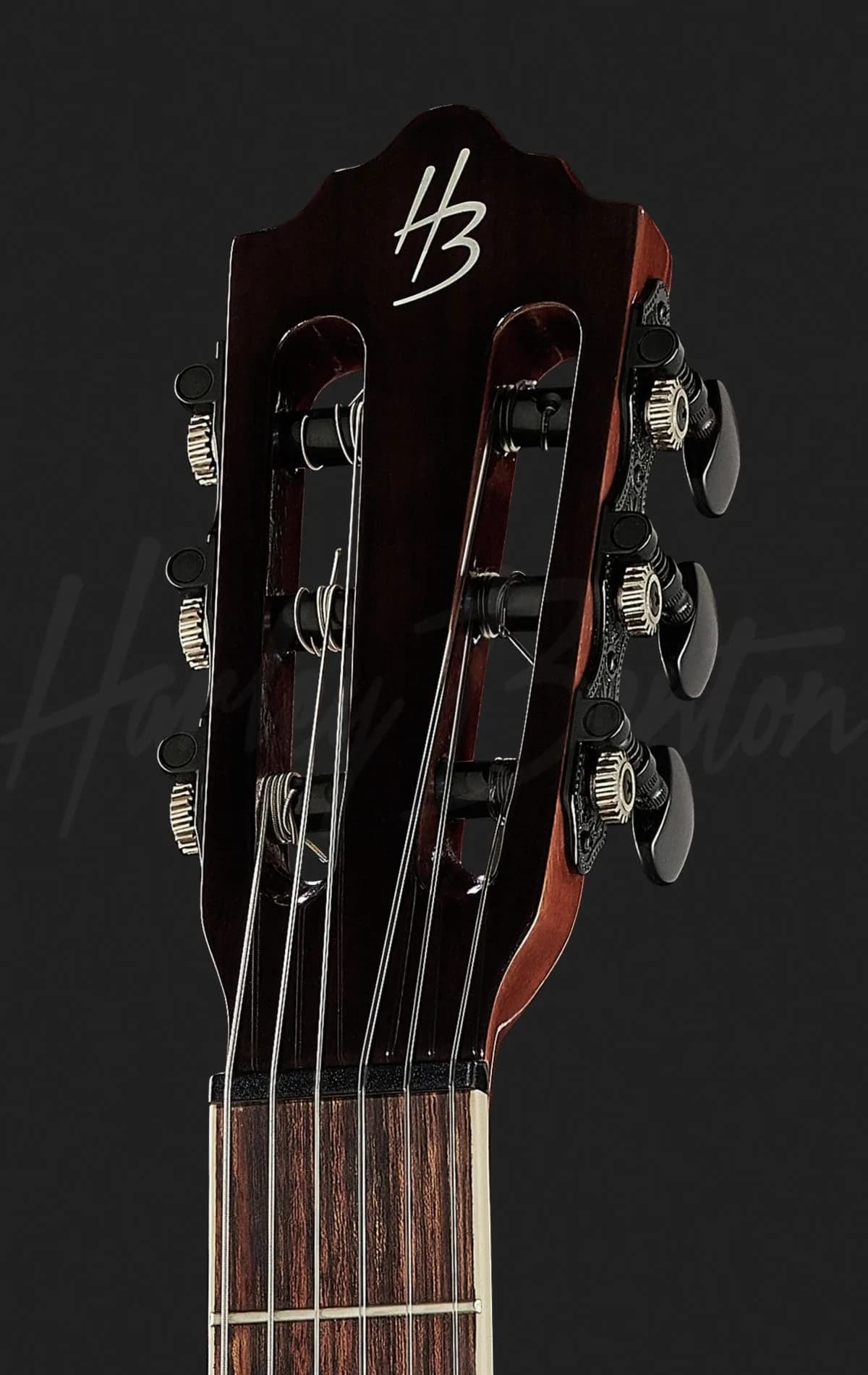 Harley Benton Santos Series C-40SCE NT — photo 4