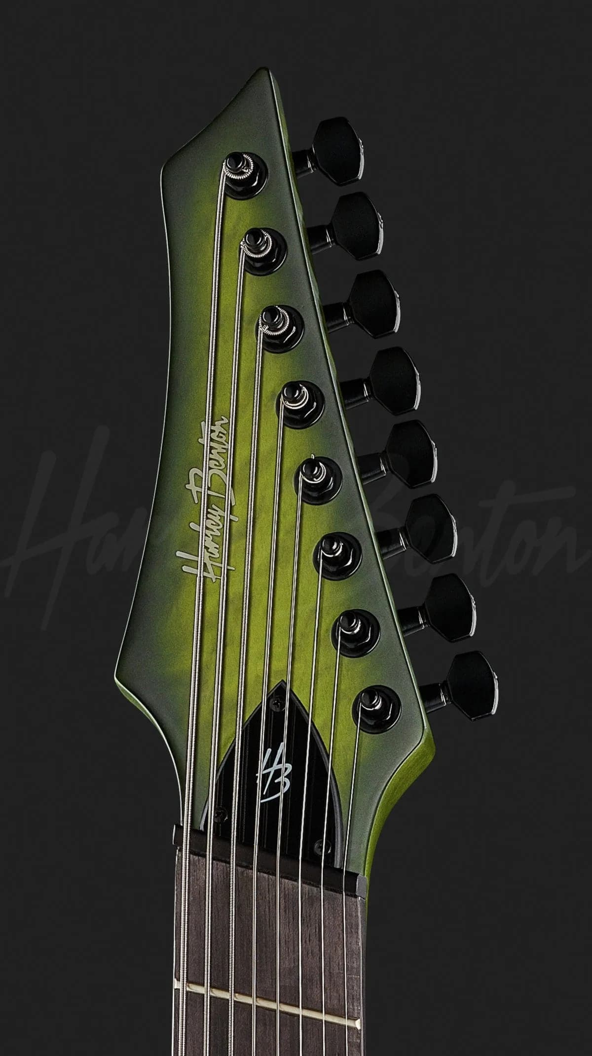 Harley Benton MultiScale-8 NT QEB DLX — photo 6
