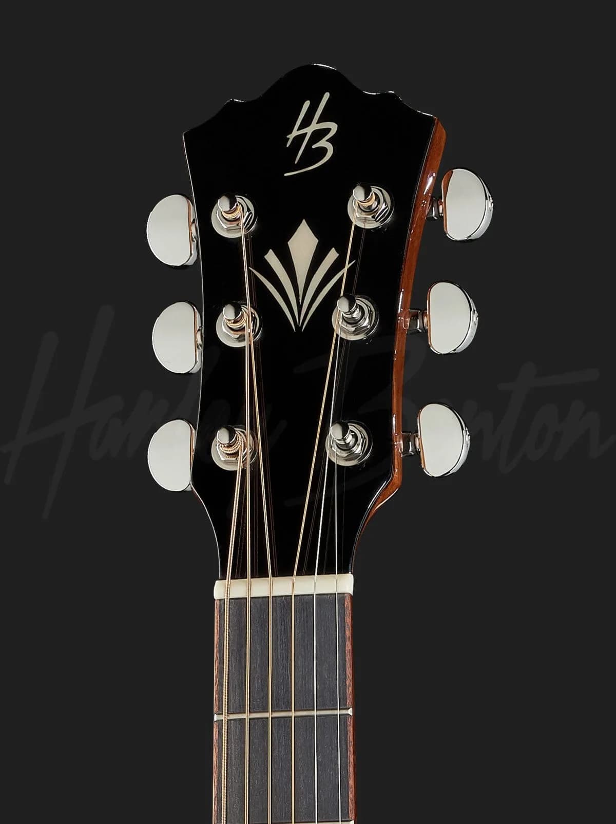 Harley Benton CLG-650SM-CE VS SolidWood — photo 6