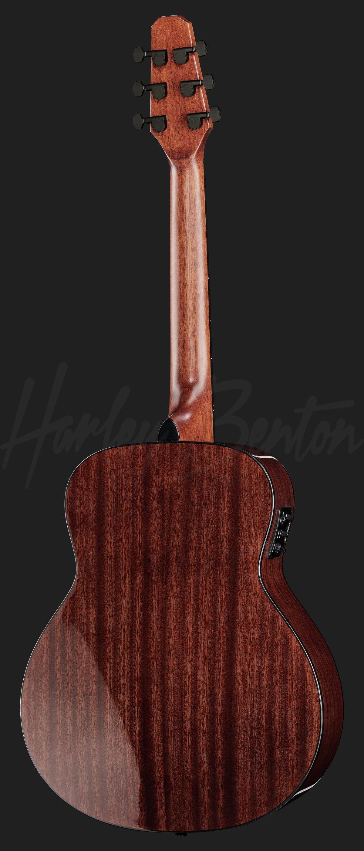 Harley Benton GS-Travel-E Spruce — photo 3