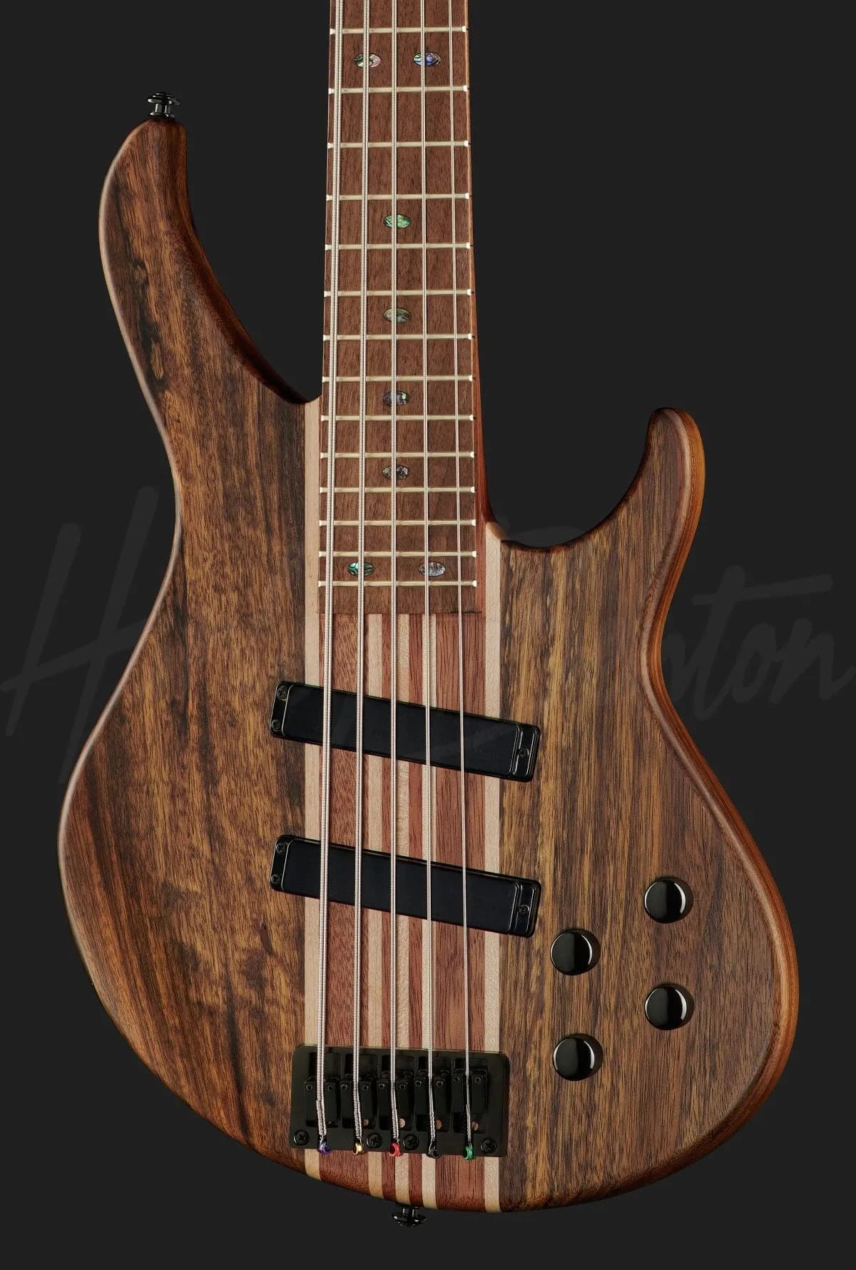 Harley Benton HBZ-2005 — photo 4