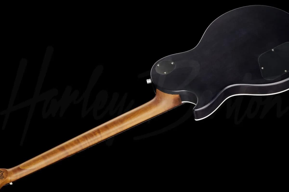 Harley Benton Agufish Custom Signature BT PB LTD — photo 8
