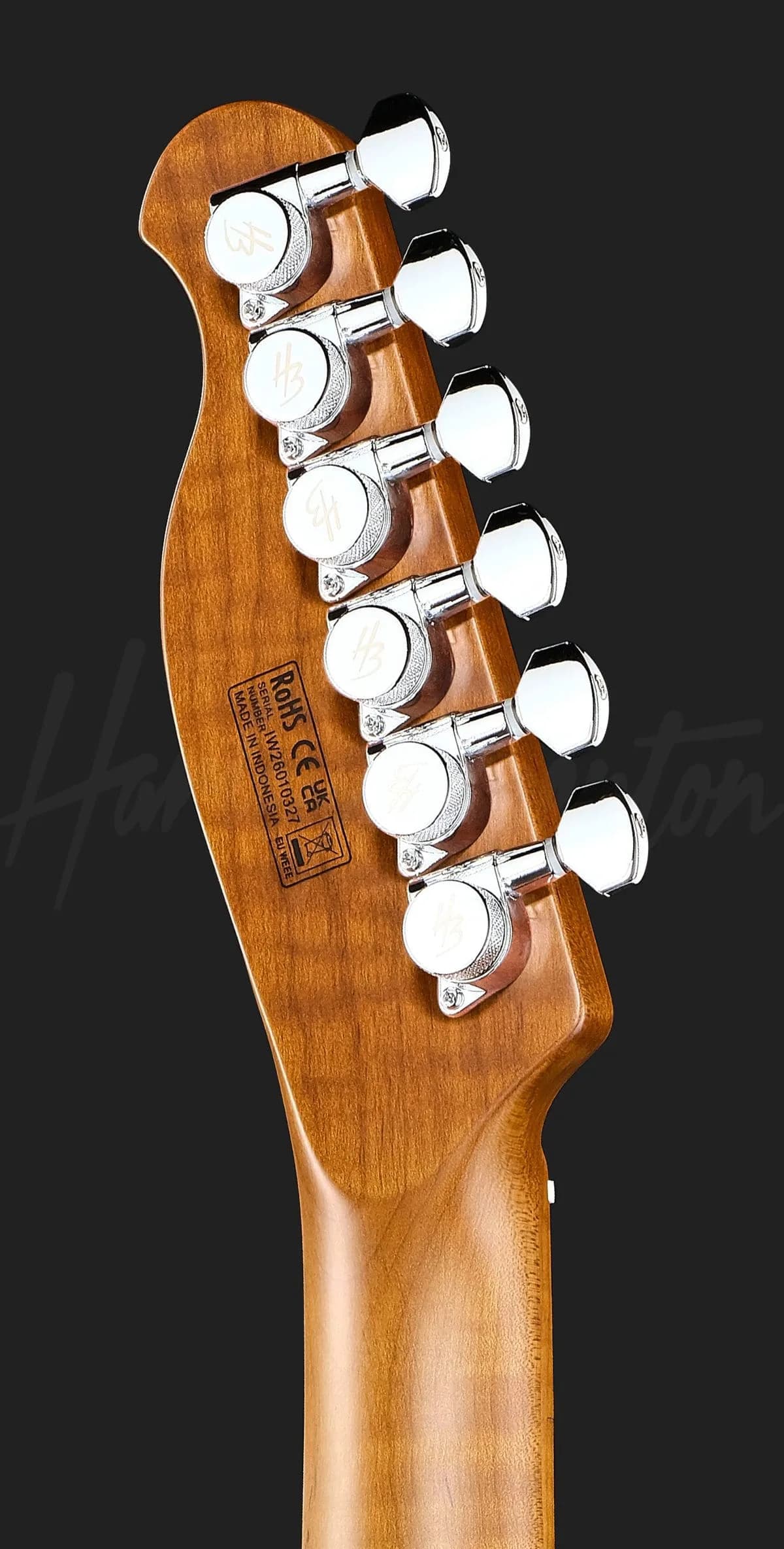 Harley Benton Fusion-T II HH MN OTC — photo 7