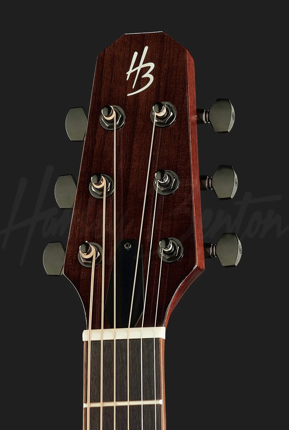 Harley Benton Custom Line CLGS-10S Travel — photo 6