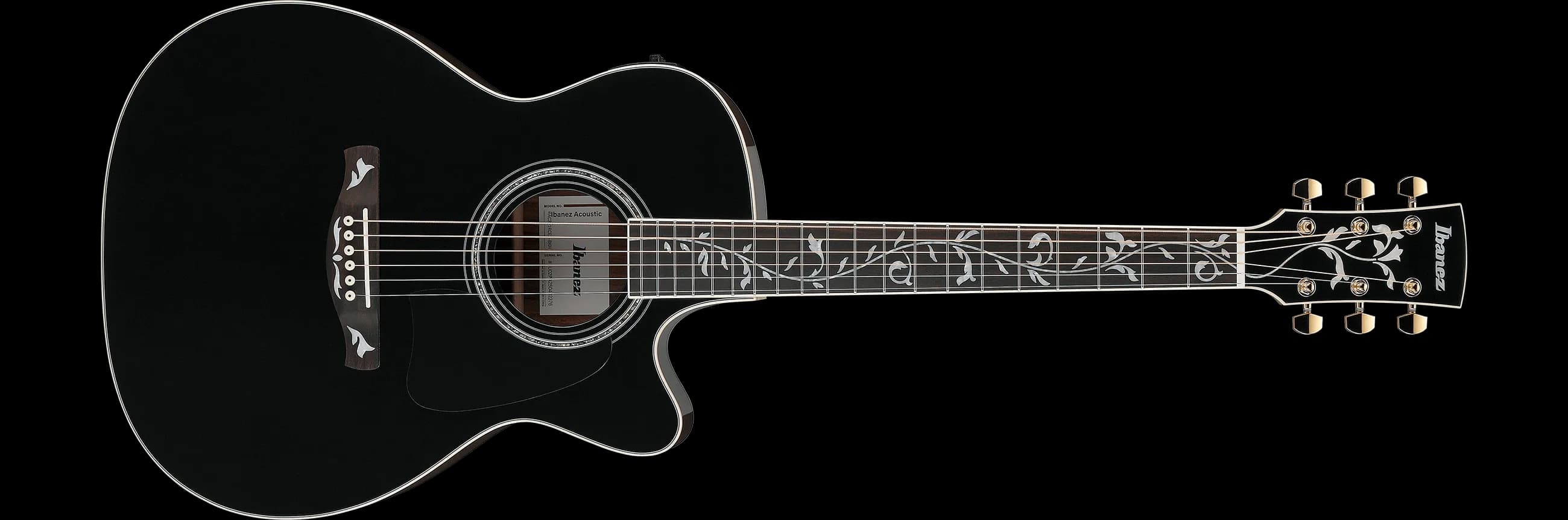 Ibanez AC391RCE