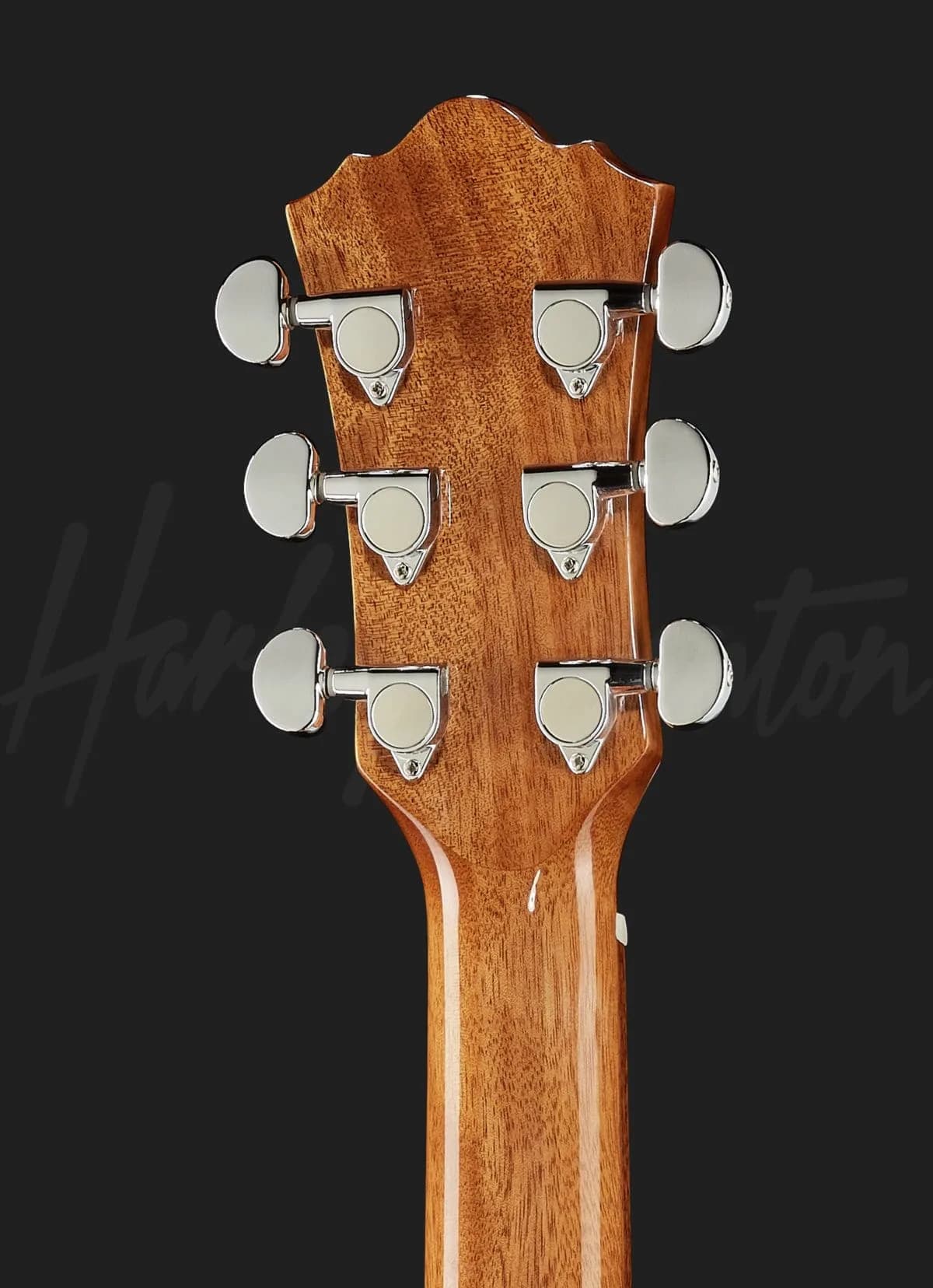Harley Benton CLG-650SM-CE BK SolidWood — photo 7